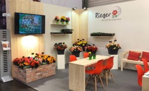 Messestand Begonien Rieger IPM