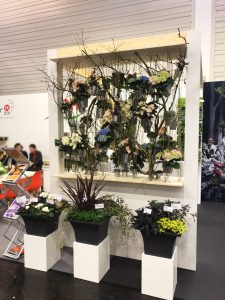 Messestand Begonien Rieger IPM