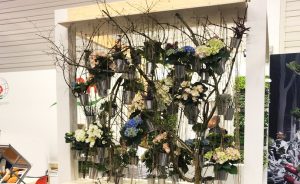 Messestand Begonien Rieger IPM