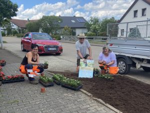Bepflanzung-mit-Hot Milii nachhaltige Alleskönnerin