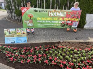 Bepflanzung-mit nachhaltigen Blumen