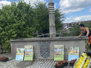 Bio-Blumen-Pflanzen-Erde