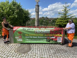 Blumen-Beet-Balkon-Friedhof