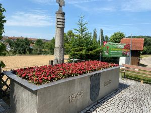 Blume Euphorbia kann viele Wochen ohne Wasser