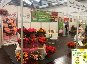 IPM-Sommeredition-2022