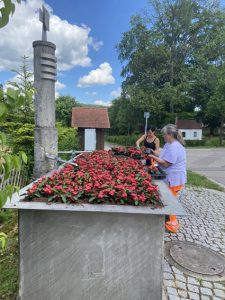 Uwe-Gebler-Lauchheim Pflanzaktion