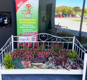 Herbstblumen-Kombibepflanzung-FrosthartRieger