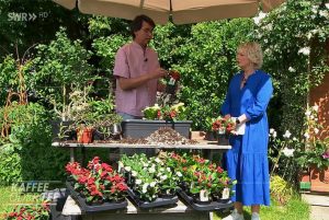 Kaffe-oder-Tee-Sendung-HotMilii