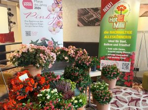 Ausstellung Verband deutscher Friedhofsgärtner September 2023