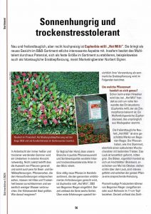 Gärtnerbörste 2024 Seite 1 Hot Milii Sonnenhungrig und trockenstresstolerant Neu und freilandtauglich