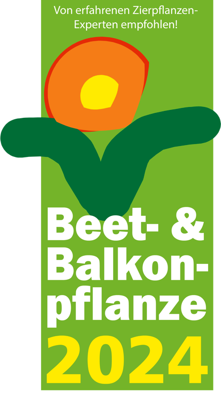 Beet- und Balkonpflanze 2024