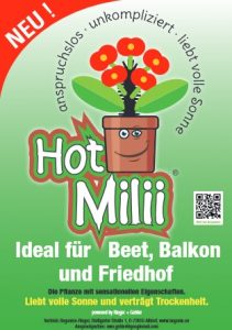 HotMilii Werbeplakat Download
