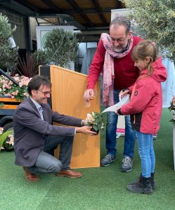 Pinky-Begonie-Pflanze-des-Jahres-2024