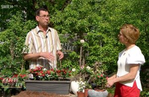 Sukkulenten-Hot-Milii-in-der-SWR-Sendung-Kaffee-oder-Tee-