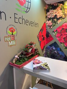 IPM-2025-Messe-HotMilii-Echeverie