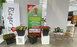 Rieger Impressionen Flowertrails bei Westhoff