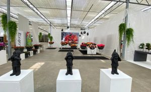 Rieger Impressionen Flowertrails bei Westhoff