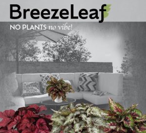 Neuheiten Riger 2026