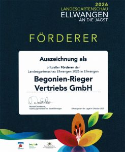Begonien-Rieger-Förderer-der-Landesgartenschau-in-Ellwangen-2026